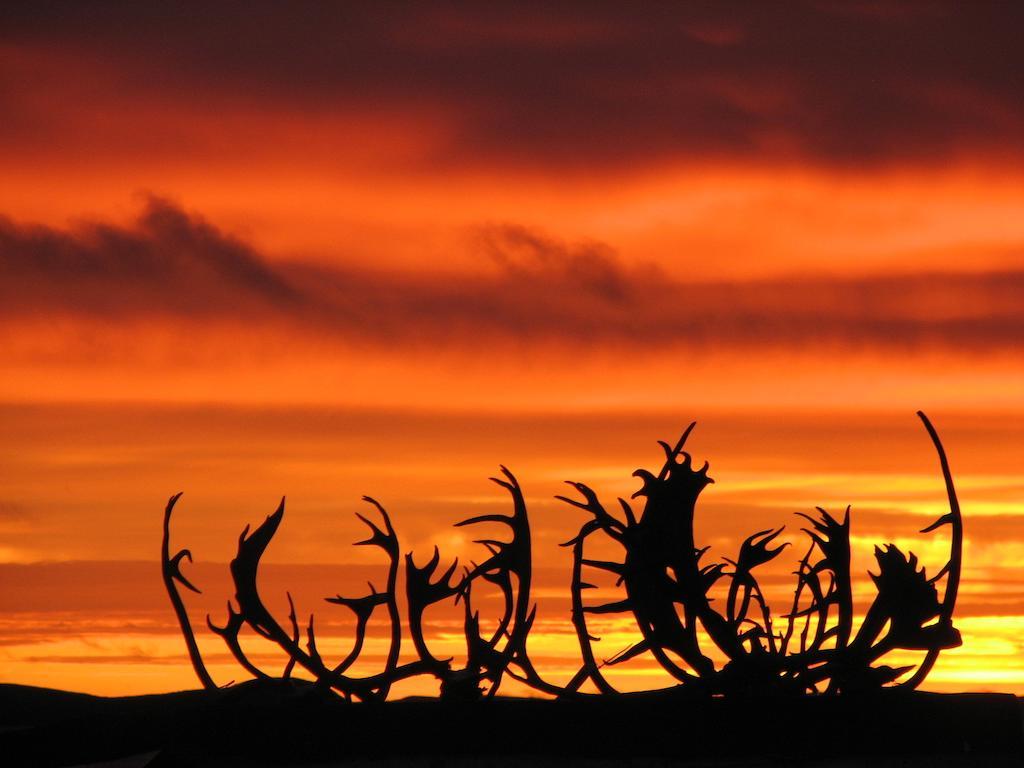 Peterson'S Point Lake Lodge Yellowknife Buitenkant foto